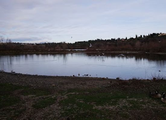 california/redding/attraction/bird-park