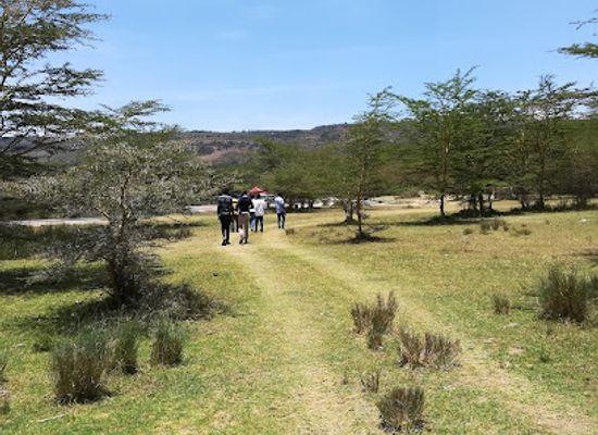 kenya/nyandarua-range/attraction/lake-elementaita