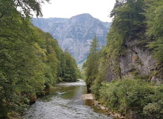 austria/hallstatt/attraction/koppenbruller-cave