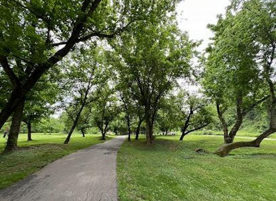 north-carolina/pisgah-national-forest/attraction/french-broad-river-park