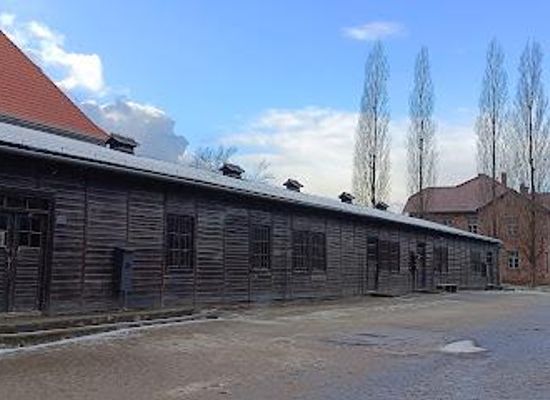 poland/krakow/attraction/auschwitz-tour-krakow-salt-mines-by-discover-cracow