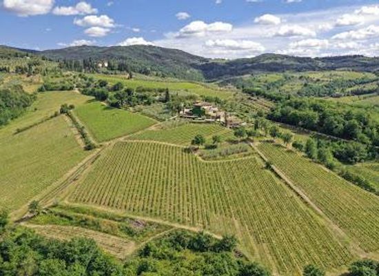 italy/tuscany/attraction/azienda-agricola-savignola-paolina