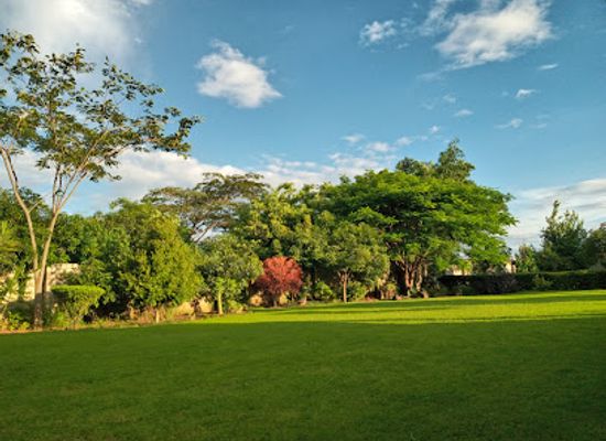 zambia/central-province/attraction/kumushi-garden