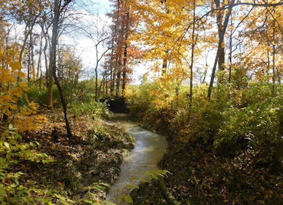 ohio/maumee-valley/attraction/hermon-woodlands
