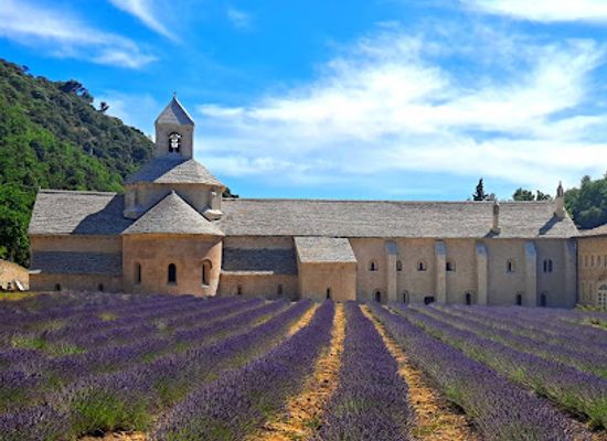 france/provence/attraction/abbaye-notre-dame-de-senanque