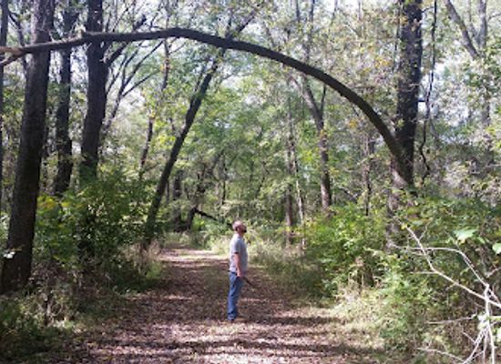 illinois/springfield/attraction/carpenter-park