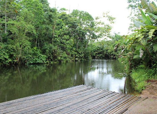 ecuador/tena/attraction/laguna-paikawe-reserva