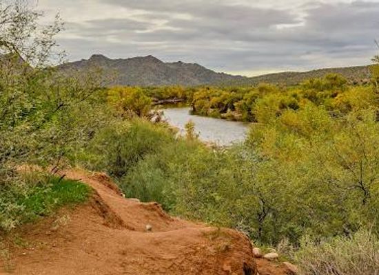 arizona/tonto-national-forest/attraction/salt-river-tubing-exit