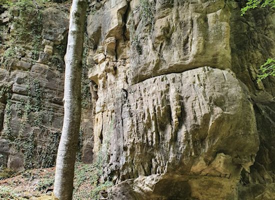 luxembourg/mullerthal-trail/attraction/heringerburg-ruine