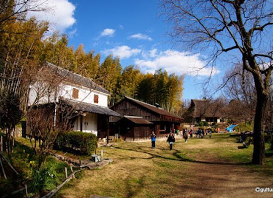 japan/settsu/attraction/open-air-museum-of-old-japanese-farm-houses