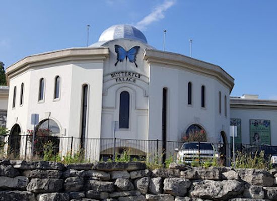 missouri/branson/attraction/the-butterfly-palace-rainforest-adventure