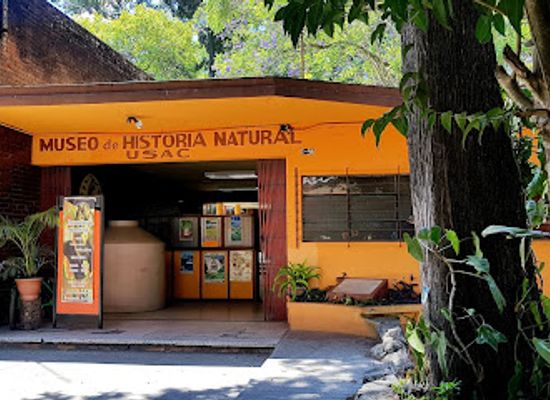 guatemala/guatemala-city/attraction/museo-de-historia-natural-usac