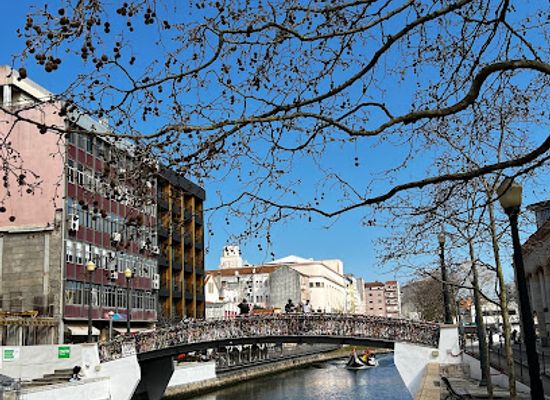 portugal/aveiro/attraction/ponte-lacos-de-irene