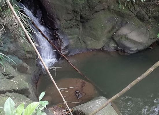 grenada/saint-david/attraction/castaigne-waterfall