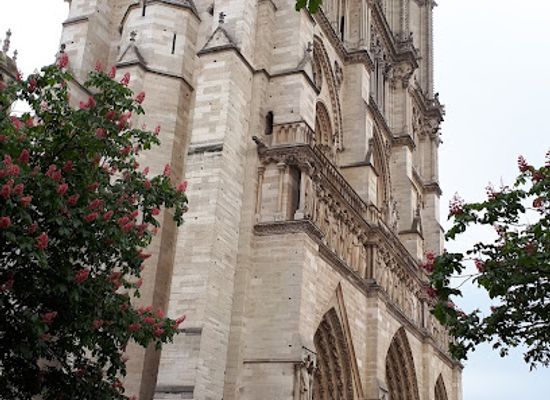 france/paris/attraction/tour-jean-sans-peur