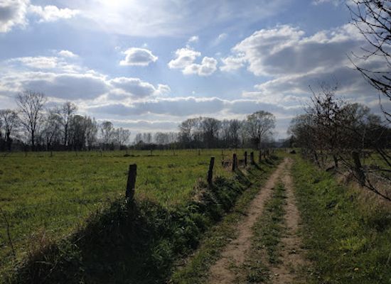 belgium/aalst/attraction/honegem-natuurpunt