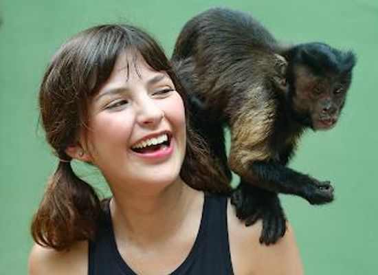mexico/tulum/attraction/akumal-monkey-sanctuary