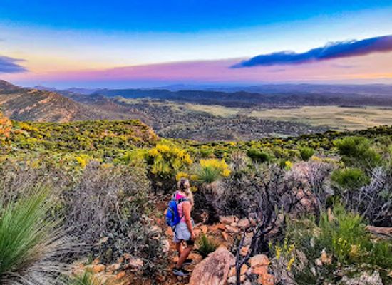 australia/flinders-ranges/attraction/mount-ohlssen-bagge-hike