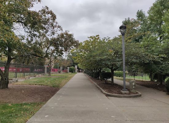 indiana/bloomington/attraction/bloomington-arboretum
