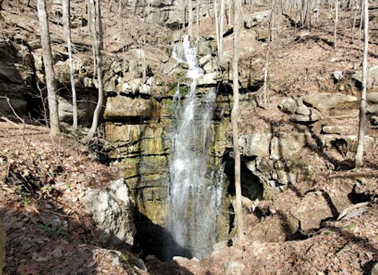 alabama/cumberland-plateau/attraction/stephens-gap-callahan-cave-preserve