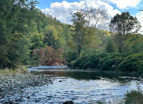 vermont/sugarbush-resort/attraction/riverside-park