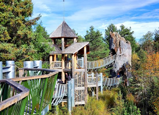new-york/adirondack-mountains/attraction/the-wild-center