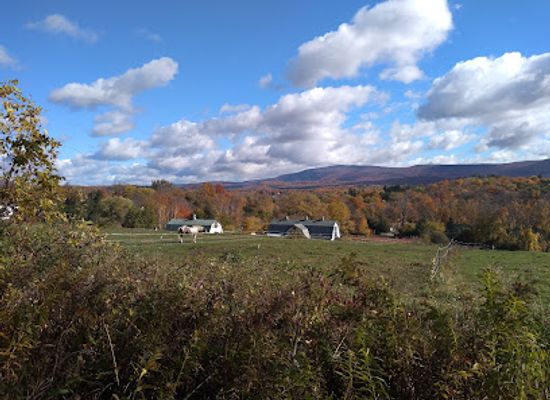 vermont/bennington-battle-monument/attraction/the-mile-around-woods