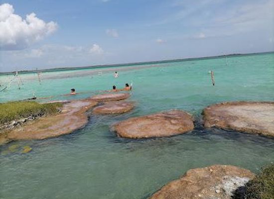 belize/corozal-town/attraction/cenote-cocalitos-beach-resort