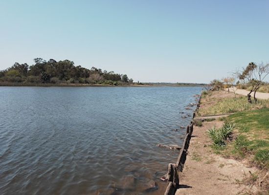 uruguay/santa-lucia-river-basin/attraction/humedales-del-santa-lucia