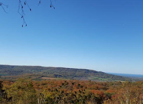 canada/southwestern-ontario/attraction/nottawasaga-lookout-provincial-nature-reserve