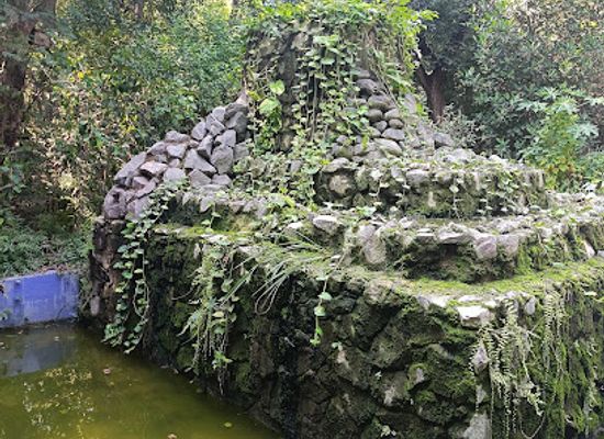 india/kanpur/kakadeo/attraction/butterfly-park