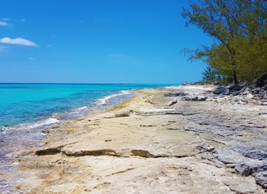 the-bahamas/cat-island/attraction/the-point-house-hawks-nest-resort