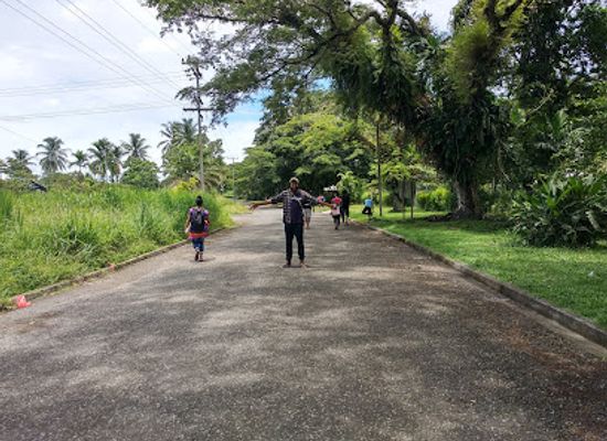 papua-new-guinea/morobe-province/attraction/rainforest-habitat