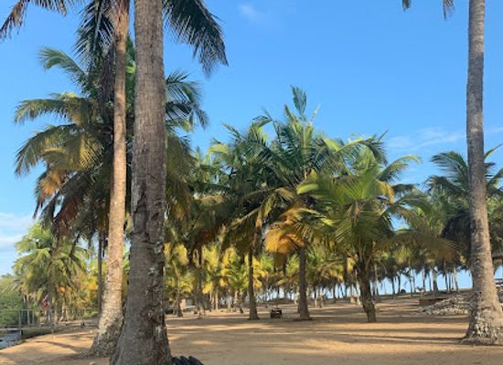 ghana/western-region/attraction/maaha-beach-village
