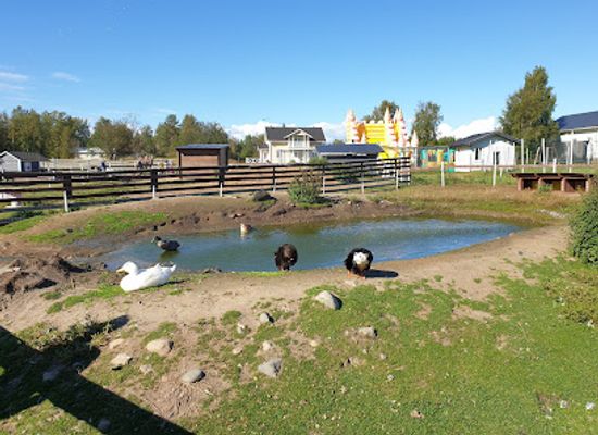 finland/north-ostrobothnia/attraction/farm-animal-park-arkadia