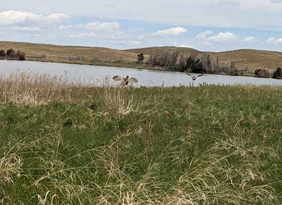 nebraska/niobrara-river-valley/attraction/valentine-national-wildlife-refuge