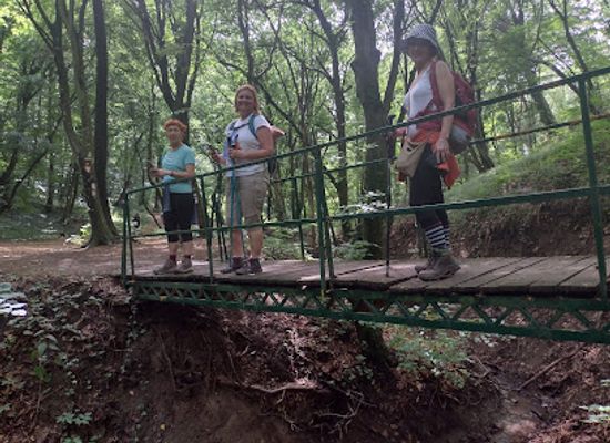 serbia/fruska-gora-national-park/attraction/pecina-beli-kop