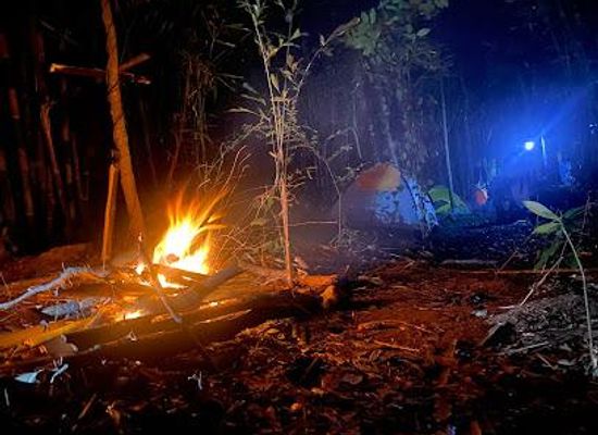 philippines/subic/attraction/jungle-environment-survival-training-camp
