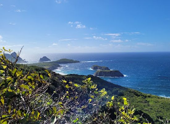 brazil/fernando-de-noronha/attraction/trilha-do-capim-acu