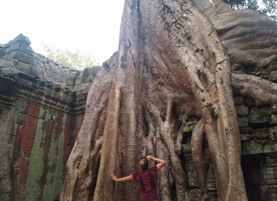 cambodia/siem-reap-province/attraction/guide-francophone
