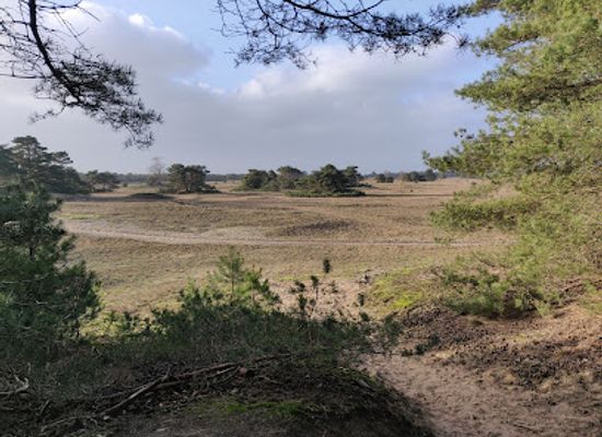 netherlands/hoge-veluwe-national-park/attraction/ingang-hoenderloo-nationaal-park-de-hoge-veluwe