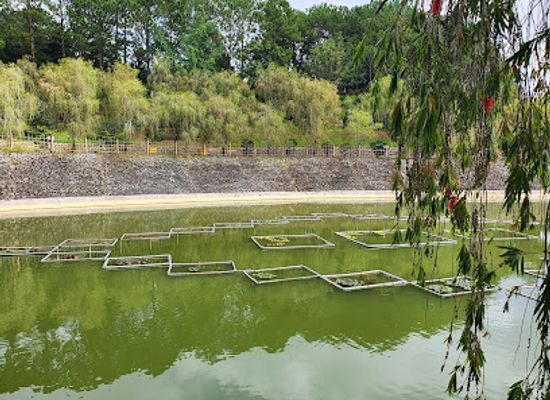 vietnam/dalat/attraction/tinh-tam-lake-truc-lam-zen-monastery