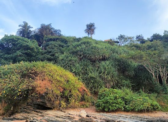 india/goa/vagator/attraction/little-vagator-beach