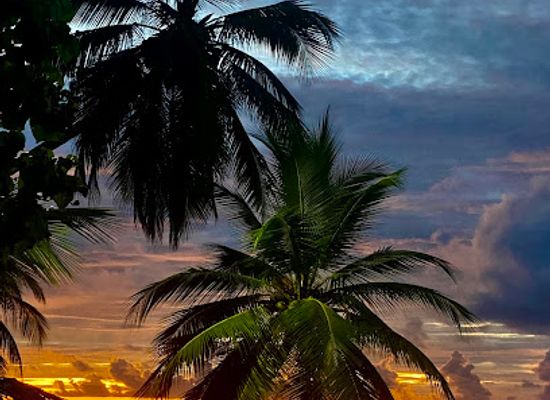 maldives/huvadhoo-atoll/attraction/zero-pavilion