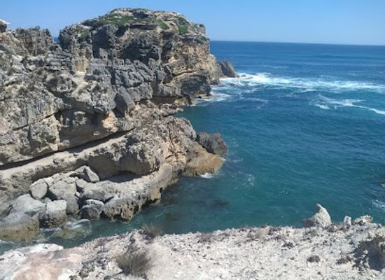 australia/limestone-coast/attraction/ewens-ponds-conservation-park