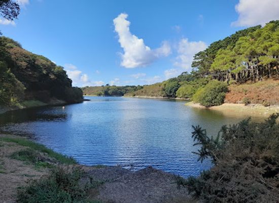 jersey/saint-saviour/attraction/val-de-la-mare-arboretum