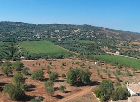 portugal/algarve/attraction/quinta-da-tor