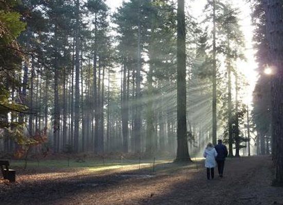united-kingdom/london/attraction/black-park-country-park