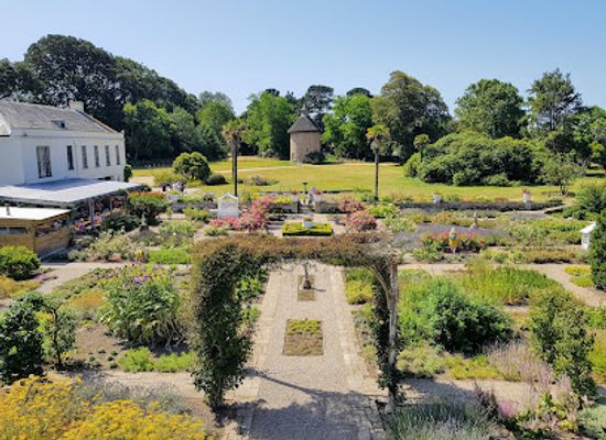 jersey/gorey/attraction/the-botanic-gardens-at-samares-manor