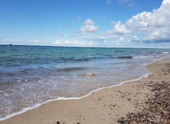 germany/baltic-sea-coast/attraction/darsser-ort-natureum